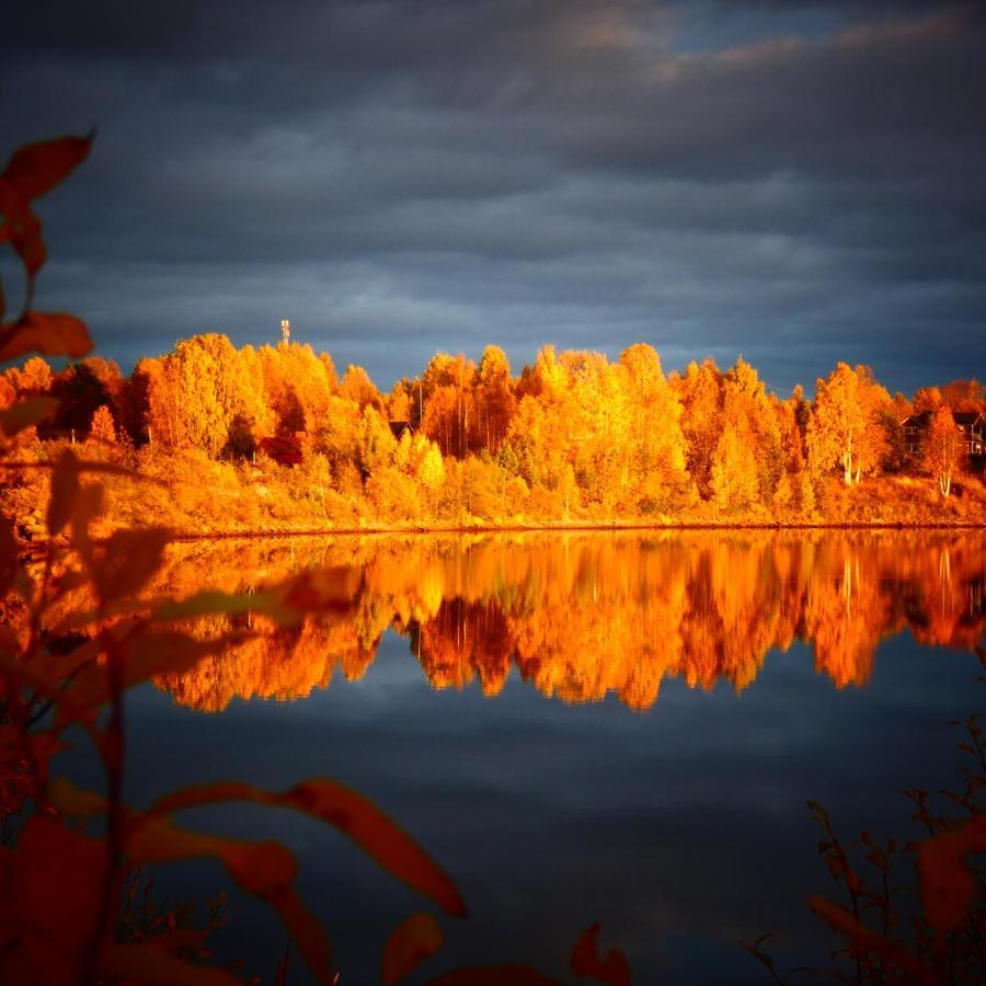 Villa Puistola & Sauna, Near Santa'S Village Rovaniemi Dış mekan fotoğraf