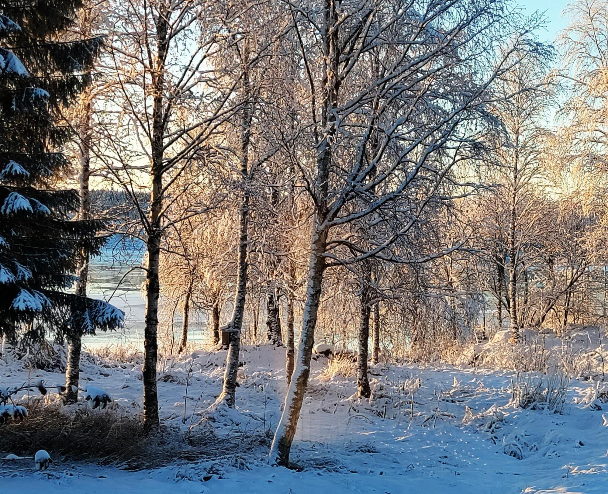 Villa Puistola & Sauna, Near Santa'S Village Rovaniemi Dış mekan fotoğraf